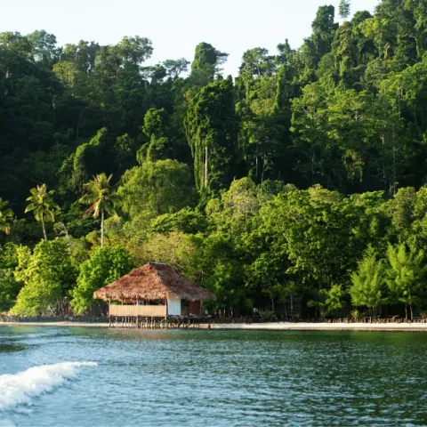 The Homestay